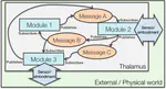 Thalamus Framework